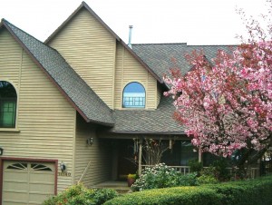 Pitched Roofs in Wilsonville